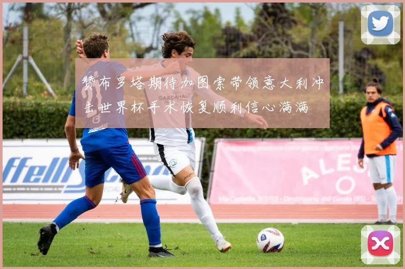 赞布罗塔期待加图索带领意大利冲击世界杯手术恢复顺利信心满满